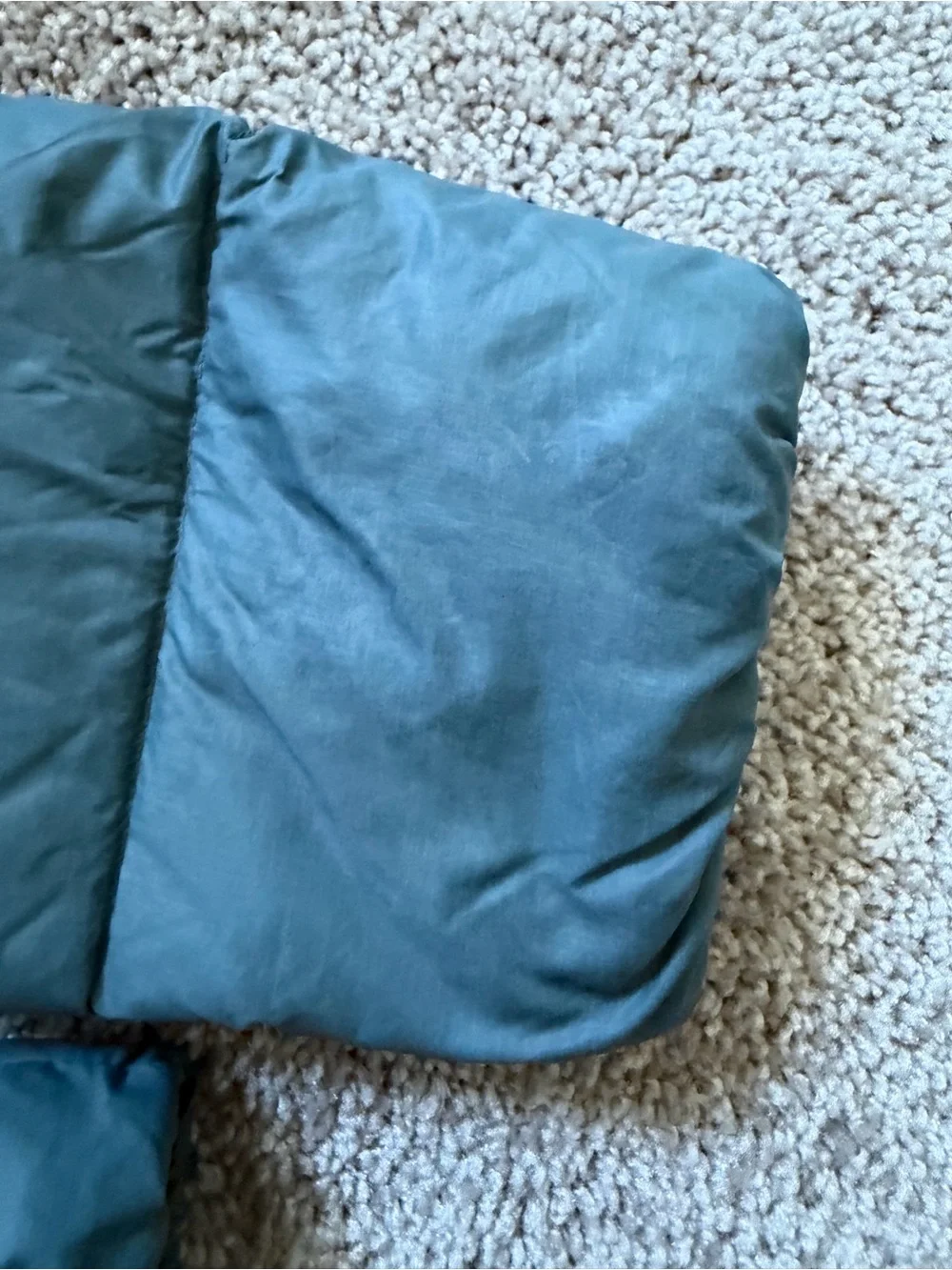 Patagonia youth Down Puffer Jacket in Sage Green with Blue Lining